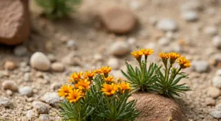 The Desert's Alchemy: How Navajo Cuisine Transforms Scarcity into Sustenance